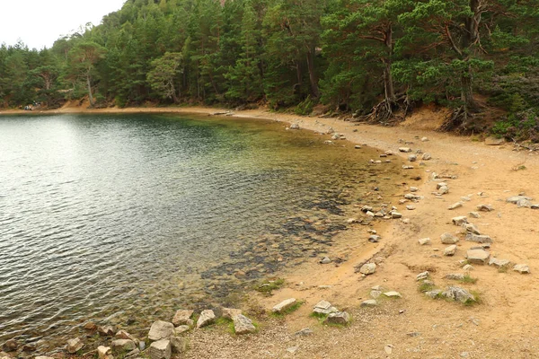 Strolling Green Loch Cairngorms — Stock Photo, Image