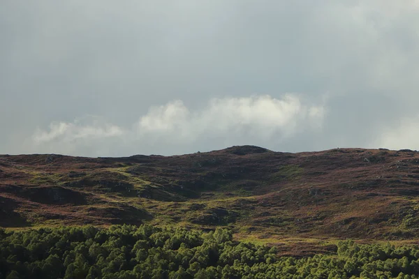 Nei Dintorni Loch Insh — Foto Stock