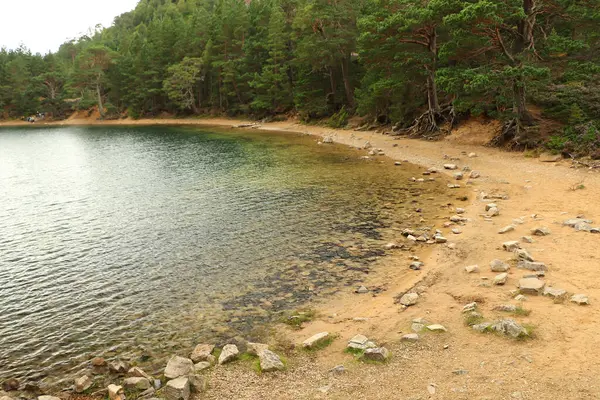 Passeando Pelo Green Loch Nos Cairngorms — Fotografia de Stock