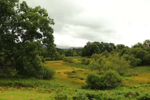 Nei Dintorni Loch Insh — Foto Stock