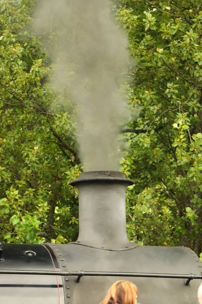 Locomotiva Vapor Cheia Carvão Correndo Uma Pista Através Cou — Fotografia de Stock