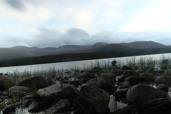 Jouer Autour Loch Morlich Soleil — Photo