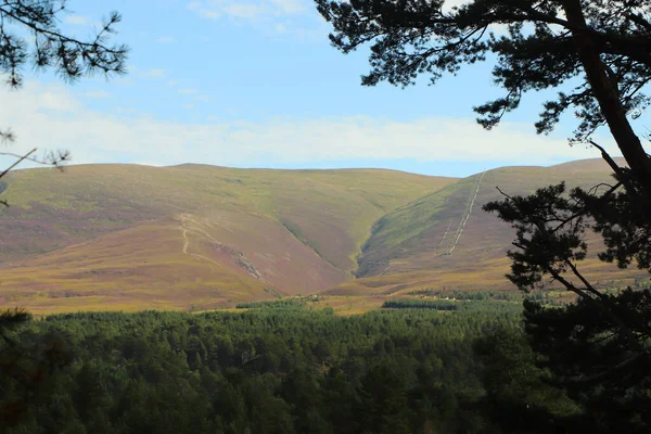 Vista Desde Alto Cairngorms —  Fotos de Stock