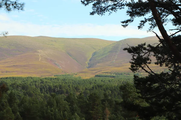 Vista Desde Alto Cairngorms —  Fotos de Stock