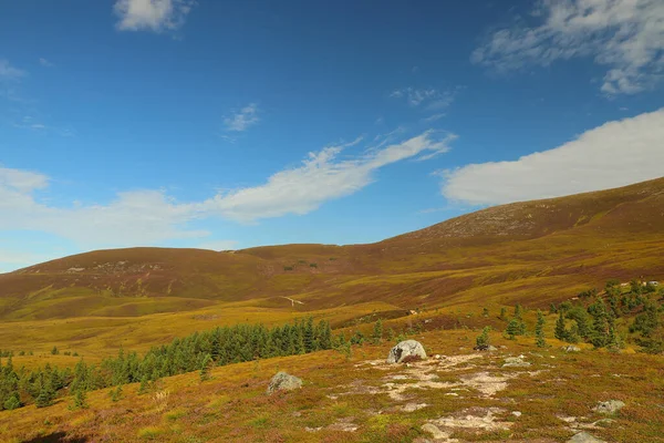 Vista Desde Alto Cairngorms — Foto de Stock