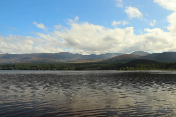 Spelen Rond Loch Morlich Zon — Stockfoto