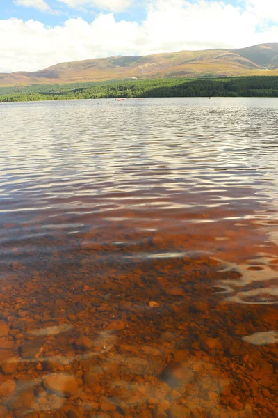 Leker Runt Loch Morlich Solen — Stockfoto