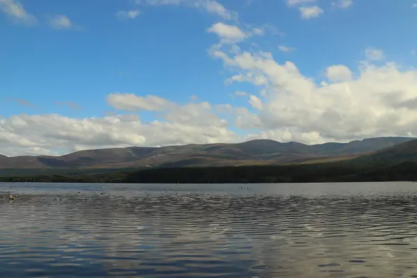 Jouer Autour Loch Morlich Soleil — Photo