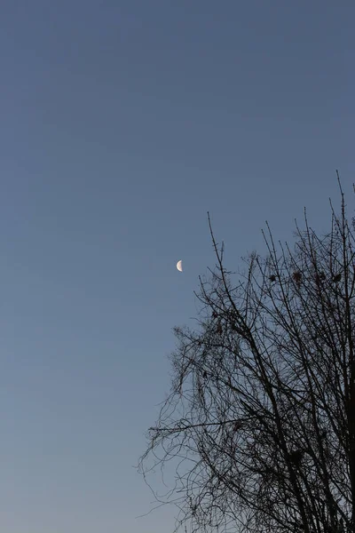 Lune Brillante Dans Ciel Nocturne Sans Nuages — Photo