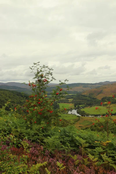 İskoçya 'nın tepelerinden derelere, nehirlere ve göllere bir manzara