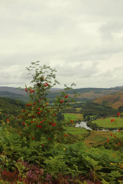 Una Vista Desde Las Colinas Escocia Hasta Las Cañadas Ríos —  Fotos de Stock