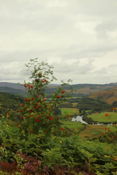 Utsikt Ner Från Skottlands Kullar Till Dalgångar Floder Och Dalgångar — Stockfoto