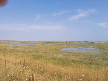 Kuzey Norfolk 'un bataklıklarına ve tarlalarına bakın.