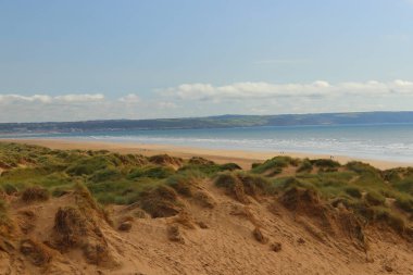 Saunton kum tepelerinin derinliklerinden çekilmiş.