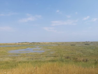 Kuzey Norfolk 'un bataklıklarına ve tarlalarına bakın.