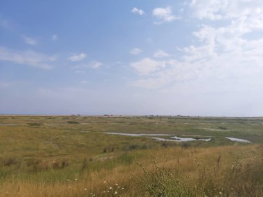 Kuzey Norfolk 'un bataklıklarına ve tarlalarına bakın.