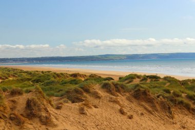 Saunton kum tepelerinin derinliklerinden çekilmiş.