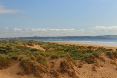Saunton kum tepelerinin derinliklerinden çekilmiş.