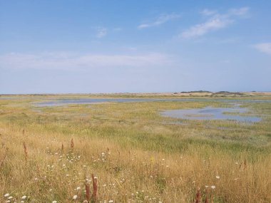 Kuzey Norfolk 'un bataklıklarına ve tarlalarına bakın.