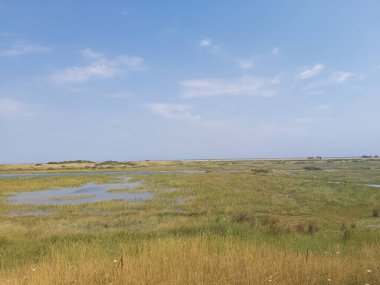 Kuzey Norfolk 'un bataklıklarına ve tarlalarına bakın.