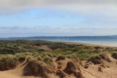 Saunton kum tepelerinin derinliklerinden çekilmiş.