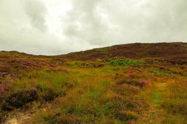 İskoçya 'nın tepelerinden derelere, nehirlere ve göllere bir manzara