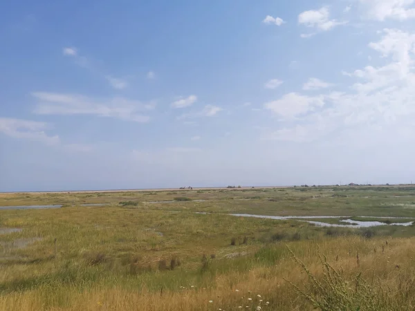 Kuzey Norfolk 'un bataklıklarına ve tarlalarına bakın.