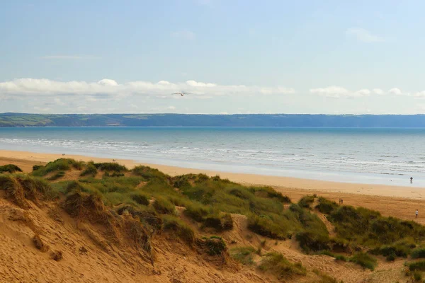 Saunton kum tepelerinin derinliklerinden çekilmiş.