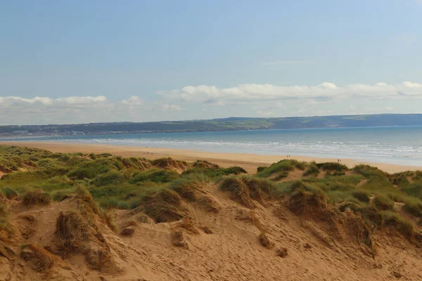 Saunton kum tepelerinin derinliklerinden çekilmiş.