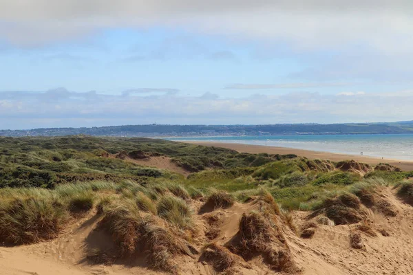 Saunton kum tepelerinin derinliklerinden çekilmiş.