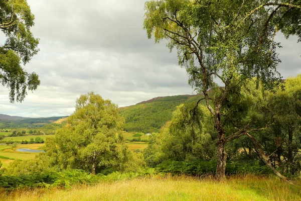 Una Vista Desde Las Colinas Escocia Hasta Las Cañadas Ríos — Foto de Stock