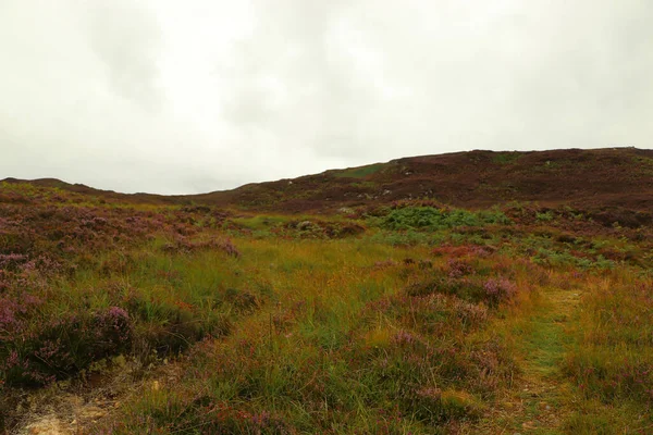 Uitzicht Vanaf Heuvels Van Schotland Naar Glens Rivieren Lochs Hieronder — Stockfoto