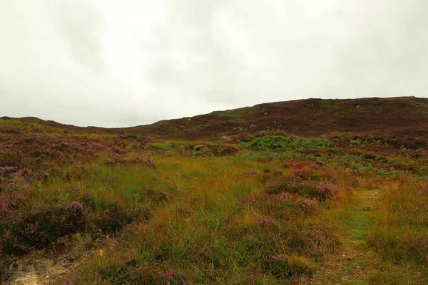 Uitzicht Vanaf Heuvels Van Schotland Naar Glens Rivieren Lochs Hieronder — Stockfoto