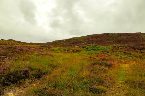 Sebuah Pemandangan Turun Dari Bukit Bukit Skotlandia Silau Sungai Dan — Stok Foto