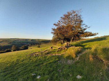 Günbatımında Exmoor üzerinde görüntüler