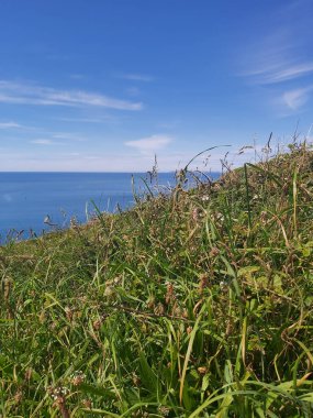 Devon 'daki Baggy Point' e ulusal güven yürüyüşü