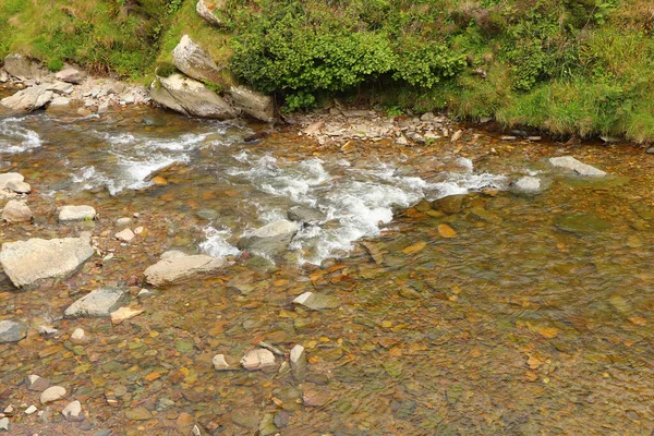 Fiume Heddon Che Scorre Attraverso Valle Terreno Roccioso — Foto Stock