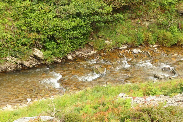 Heddon Floden Rinner Genom Dalen Och Över Stenig Mark — Stockfoto