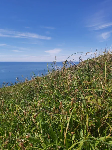 Devon 'daki Baggy Point' e ulusal güven yürüyüşü