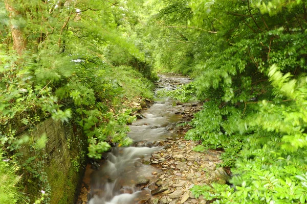 Rivière Heddon Qui Coule Travers Vallée Dessus Sol Rocheux — Photo