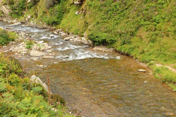 Río Heddon Que Fluye Través Del Valle Sobre Suelo Rocoso — Foto de Stock