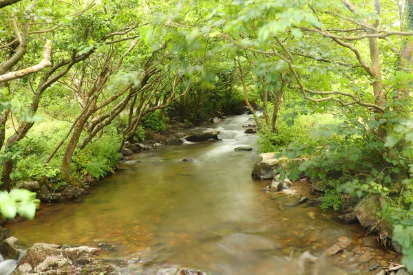 Rio Heddon Fluindo Através Vale Sobre Terreno Rochoso — Fotografia de Stock