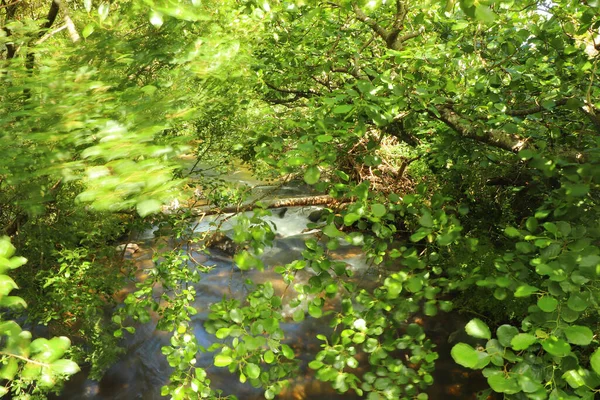 Río Heddon Que Fluye Través Del Valle Sobre Suelo Rocoso — Foto de Stock