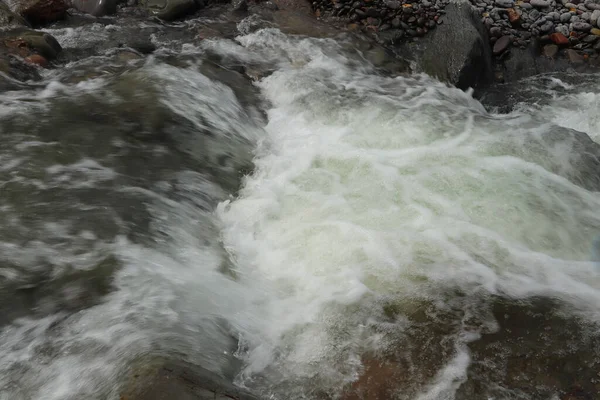 Rio Heddon Fluindo Através Vale Sobre Terreno Rochoso Imagem De Stock