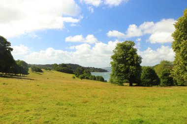 Trelissick bahçelerindeki çayırlardan düşen nehri gör.