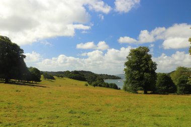 Trelissick bahçelerindeki çayırlardan düşen nehri gör.