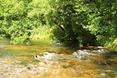 Cornwall 'daki Restormal Kalesi' nin etrafındaki akarsular