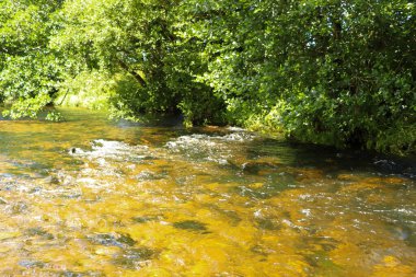 Cornwall 'daki Restormal Kalesi' nin etrafındaki akarsular