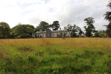 Restormel malikanesinin bakışları altında altın buğday