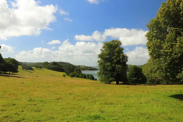 Trelissick Bahçelerindeki Çayırlardan Düşen Nehri Gör — Stok fotoğraf